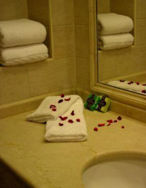 Leonardo Plaza 4*