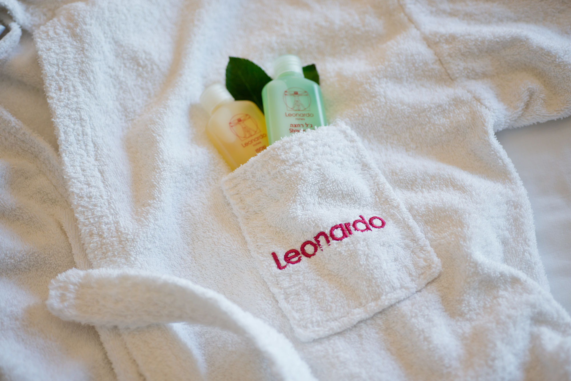Leonardo Plaza